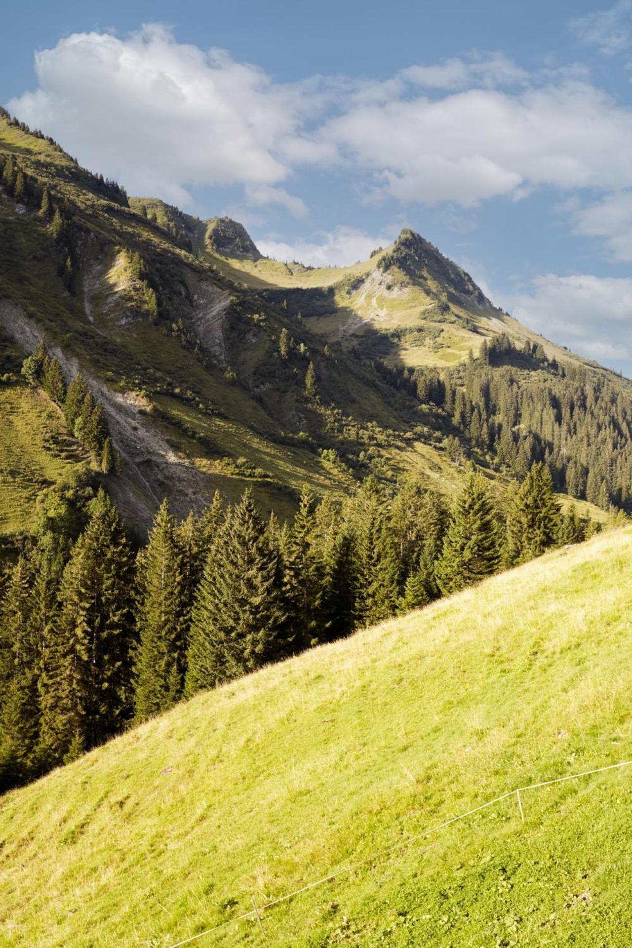 Ferienwohnung Alpenstolz Damuels Haus 4 - Stilvoll Urlauben In Den Bergen Exterior foto